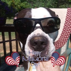 Meet your Posher, Danny